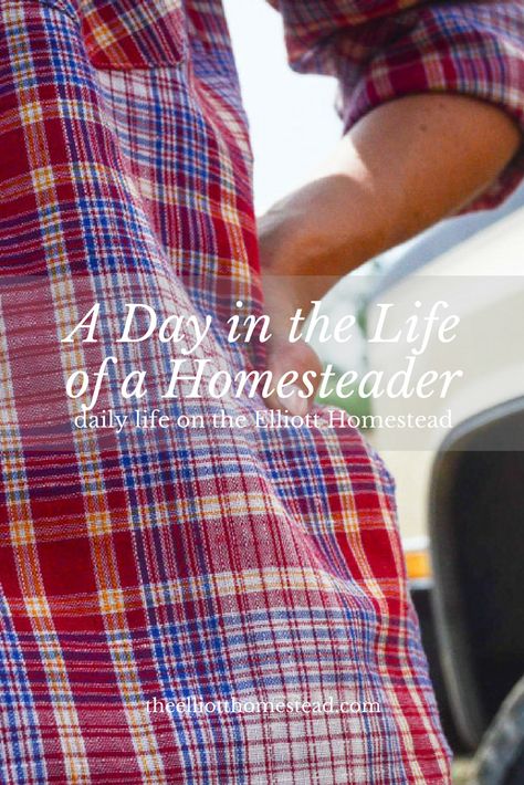 A Day in the Life of a Homesteader Elliott Homestead, Shaye Elliott, Homesteading Life, Day In A Life, Pioneer Life, Homestead Life, Homesteading Ideas, Farm Plans, Homesteading Skills