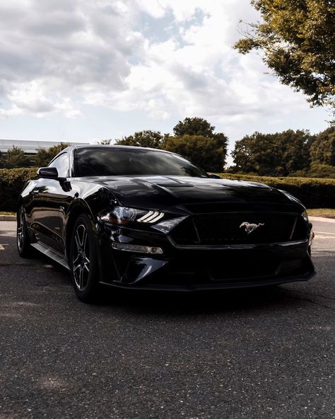 Black Car Mustang, Nice Black Cars, Black Mustang Aesthetic, Mustang Cars Black, All Black Mustang, Black Sports Cars, Black Mustang Car, Mustang Gt Black, Black Ford Mustang