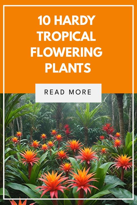 Succulent Tropical Garden, Colourful Tropical Plants, Birds Of Paradise In Pots, Tropical Garden In Cold Climate, Frangipani Garden Design, Tropical Potted Plants Outdoor, Tropical Landscaping Plants, Tropical Border Plants, Colourful Indoor Plants