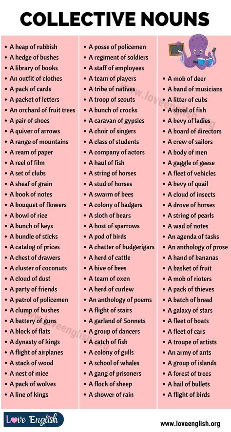 Collective Nouns List, Collective Nouns Worksheet, Nouns In English, English Grammar Book, Nouns Worksheet, Collective Nouns, Teaching English Grammar, English Grammar Worksheets, Grammar Book