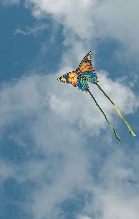 The tails may be necessary for stable flight when the wind picks up a bit - but otherwise this Butterfly kite is a beautiful example of realism in creature kites. T.P. (my-best-kite.com) "My favorite kite" Cropped from a photo by Rocky Baker on Flickr. Kites Aesthetic, Kite Making Ideas For Competition, Kite Designs Ideas, Kite Aesthetic, Kite Photo, Butterfly Kite, Chinese Kites, Kite Shop, Flying A Kite