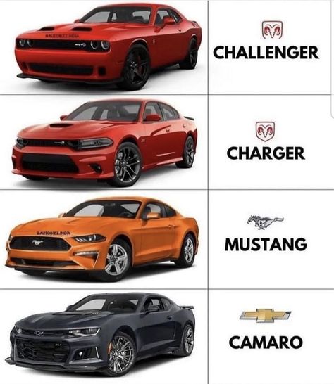 Muscle Cars