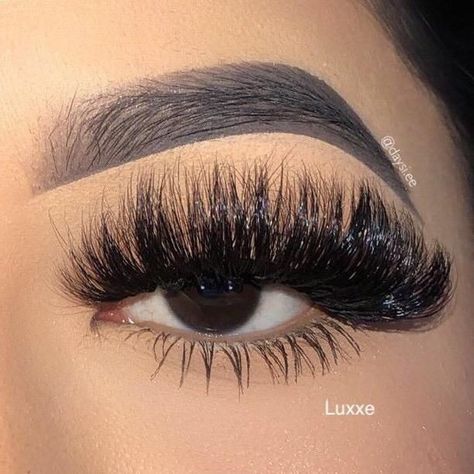 Nice Lashes, Big Eyelashes, Feather Eyelashes, Lash Collection, Best Lash Extensions, Big Lashes, Eyelash Extensions Styles, Natural Eyelash Extensions, Perfect Eyelashes