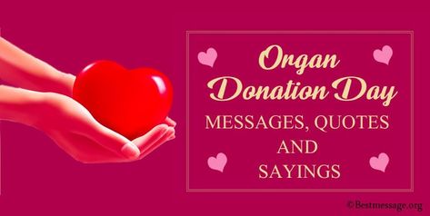 20+ Valentine’s Day Whatsapp Messages and Whatsapp Status Organ Donor Quotes, Organ Donation Quotes, Best Slogans, Donation Quotes, Valentines Day Messages, Cool Slogans, Organ Donor, Messages Quotes, Organ Donation