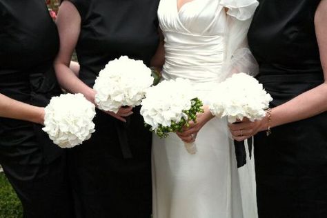 single carnation bouquets | Single Flower Bouquets | Truly Engaging Wedding Blog I sort of love this. White Hydrangea Wedding, White Hydrangeas, Hydrangea Bouquet, Hydrangeas Wedding, Bridesmaid Accessories, White Hydrangea, Wedding Goals, Single Flower, Bridesmaid Bouquet