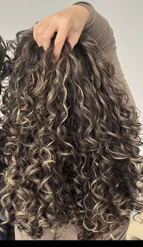 Hair Colours Curly Hair, Highlights For Dark Brown Hair Curly Long Layered, Oreo Hair On Curly Hair, Dyed Highlights Curly Hair, Black With Blonde Highlights Curly Hair, Dark Curly Hair Blonde Highlights, Streaks On Curly Hair, Light Highlights Curly Hair, Highlights On Wavy Curly Hair