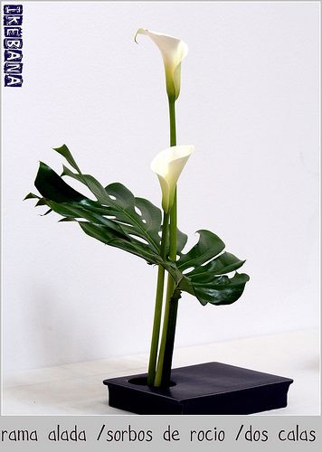 Ikebana | Flickr - Photo Sharing! Arreglos Ikebana, Ikebana Sogetsu, Sogetsu Ikebana, Ikebana Arrangements, Ikebana Flower Arrangement, Floral Art Design, Ikebana Vases, Creative Flower Arrangements, Flower Arrangements Simple