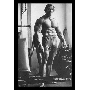 Buy Art For Less 'Enjoyment - Arnold Schwarzenegger Mr. Olympia Madison Square Garden - Pumping Iron' Framed Photographic Print | Wayfair Arnold Schwarzenegger Training, Gold's Gym, Gym Poster, Pumping Iron, Golds Gym, Framed Photographs, Arnold Schwarzenegger, Sports Art, Bird Prints