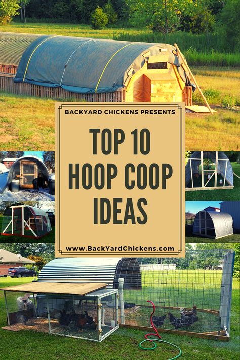 Circular Chicken Coop, Hoop House For Chickens, Chicken Coop With Hoop Run, Diy Hoop Chicken Coop, Hoop House Chicken Run, Alternative Chicken Coop Ideas, Hoop Coop With Nesting Boxes, Large Diy Chicken Coop, Hoop Chicken Run