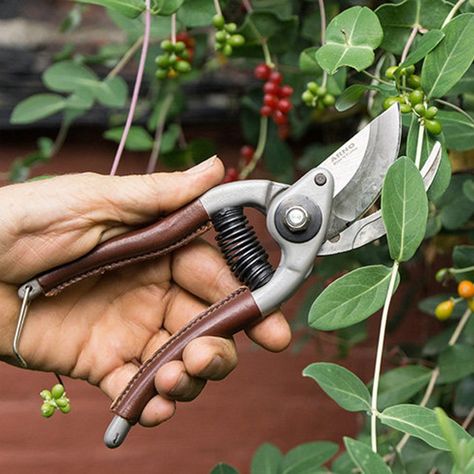 Landscaping Tools, Woodworking Shows, Lawn Service, Garden Shears, Plant Propagation, Belt Holster, Grow Bags, Garden Care, Forged Steel