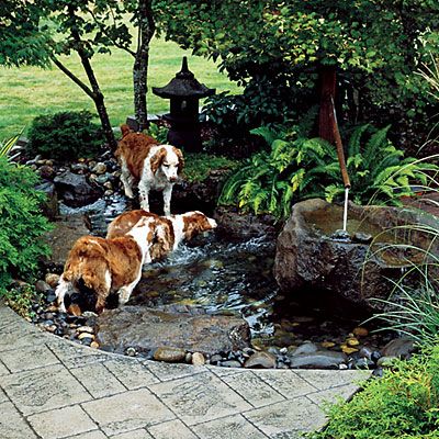 I would like something like this in my backyard for my water-loving dog. Small and shallow and secluded and relaxing. To dip my toes in, too. Dog Proof Fence, Dog Friendly Garden, Dog Friendly Backyard, Dog Backyard, Dog Small, Dog Yard, Water Features In The Garden, Have Inspiration, Ponds Backyard