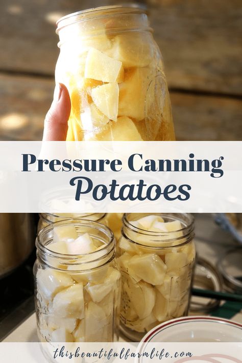 Pressure Canning Potatoes - this beautiful farm life Quick Potato Soup, Can Potatoes, Canning Potatoes, Canning Granny, Pressure Canning Recipes, Canned Potatoes, Canning Vegetables, Soup Appetizers, Fresh Potato