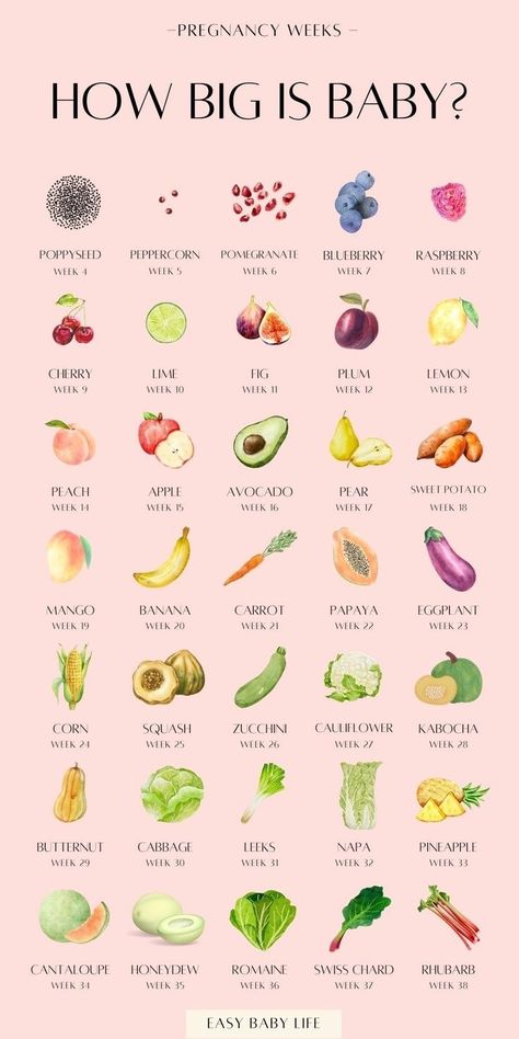 Planning on getting pregnant, or maybe already a pregnant new mom? Learn all about pregnancy week by week and see baby size by week during all three trimesters of pregnancy with this pregnancy chart! Through each of the pregnancy stages, you can check out how big baby is and which fruit they’re most likely the size of! Also find pregnancy tips and facts for all pregnancy weeks. Perfect pregnancy guide for early pregnancy until birth. Pregnancy Tips For New Moms, Pregnancy Fruit, Baby Size By Week, Pregnancy Weeks, 9 Weeks Pregnant, 17 Weeks Pregnant, Pregnancy Chart, 11 Weeks Pregnant, 5 Weeks Pregnant