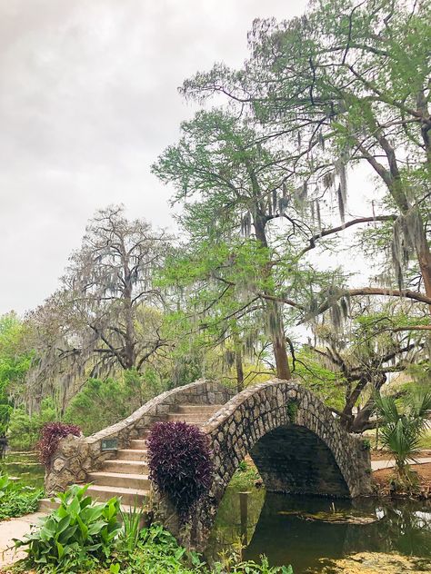 Langles Bridge in City Park Audubon Park New Orleans, Parks And Gardens Photography, City Park New Orleans Photography, New Orleans Park, New Orleans Photoshoot, New Orleans Landscape, Nola Elopement, New Orleans Aesthetic, New Orleans Bayou