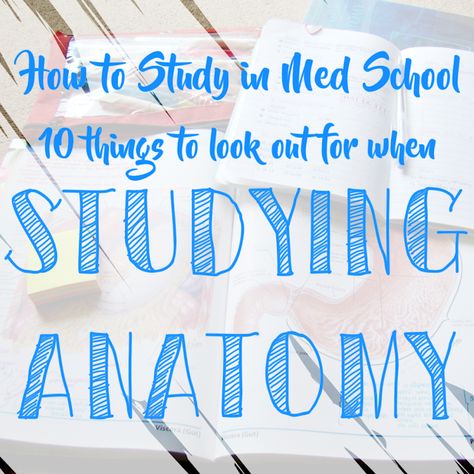 Tips On Studying, Mcat Study Tips, Med School Student, Anatomy Tips, Med School Study, Nursing Study Tips, Mcat Study, College Nursing, Studying Medicine