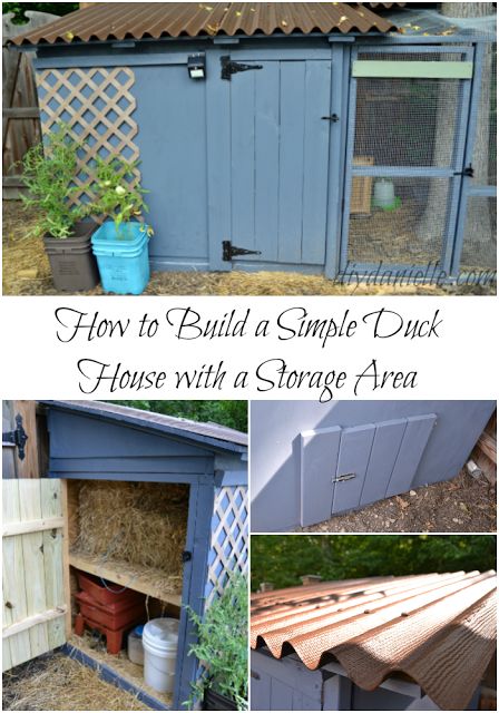 How to build a simple duck house with storage area. The storage is a great way to store feed and straw while providing a little extra insulation for the duck house. Get a free eBook tutorial. Simple Duck House, Duck House Diy, Duck Enclosure, Duck House Plans, Duck Pens, Backyard Ducks, Duck Coop, Pet Ducks, Duck House