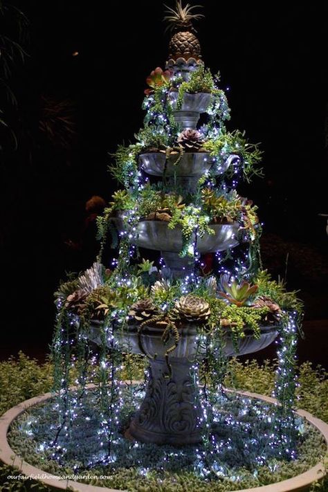 DIY succulent fountain - Fill a fountain with succulents and then put small white Christmas lights on top to make it look like glowing water. Beautiful idea! Natal, Dry Fountain, Diy Snowman Decorations, Christmas Ideas For Boyfriend, Christmas Lights Outside, Outdoor Lighting Ideas, Diy Outdoor Lighting, Christmas House Lights, Meteor Garden 2018