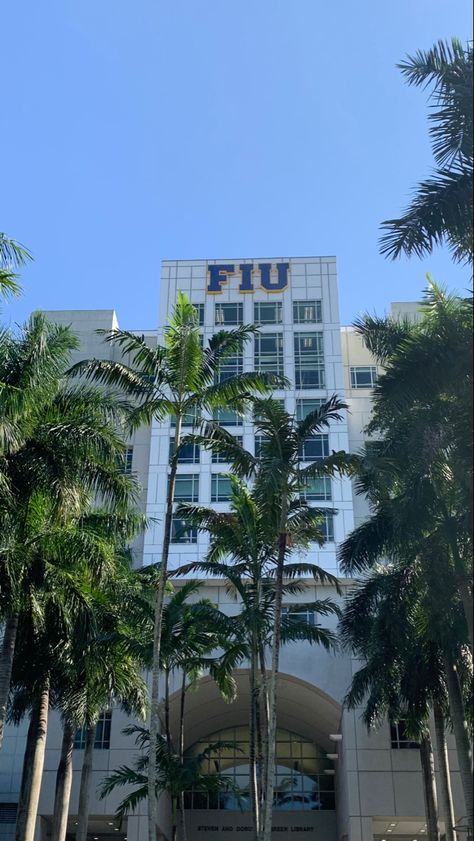 Florida International University Aesthetic, Florida University Aesthetic, Miami College Aesthetic, College In Florida Aesthetic, Florida College Aesthetic, Fiu College Aesthetic, Florida Life Aesthetic, University Of Miami Aesthetic, Fiu College