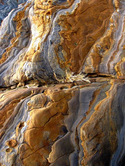 Rock Textures, Carmel Ca, Geology Rocks, Cool Rocks, Natural Rock, Rock Formations, Galveston, Patterns In Nature, Stone Rocks