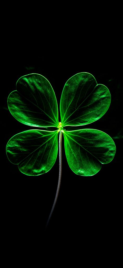 Good Luck Wallpaper, Leaves Wallpaper Iphone, St Patricks Day Pictures, St Patricks Day Wallpaper, Lucky Art, Lucky Wallpaper, Expressions Photography, Lucky Leaf, Iphone Wallpaper Lights