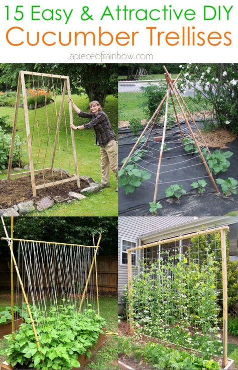 15 easy & attractive DIY cucumber trellis ideas on how to build vertical garden growing structures with simple materials for productive vegetable gardening! - A Piece of Rainbow  #spring #summer #trellis #verticalgarden #ediblegarden #vegetablegardening #backyard #gardens #gardening backyard, landscaping, gardening tips, #urbangardening #gardendesign #gardenideas #containergardening #DIY #homestead homesteading #gardeningtips #woodworkingprojects #woodworkingplans #growfood grow your own food Cucumber Trellis Ideas, Squash Trellis, Cucumber Trellis Diy, Gardening Backyard, Cucumber Trellis, Backyard Gardens, Trellis Ideas, Garden Growing, Garden Frame