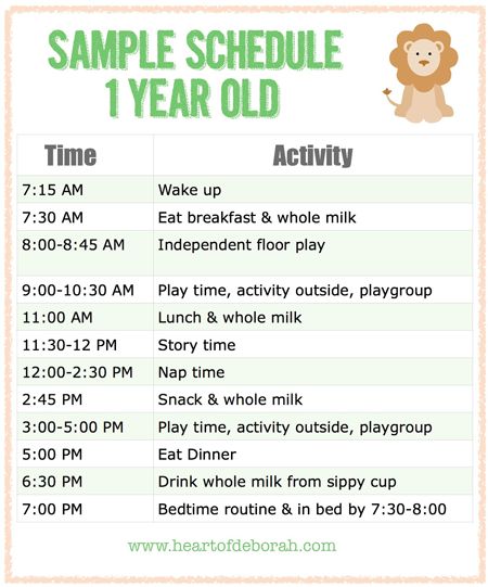 sample baby schedule for one year old                                                                                                                                                                                 More Baby Routine, Toddler Schedule, Sample Menu, Baby Schedule, Time Schedule, Toddler Life, Baby Led Weaning, Baby Development, Everything Baby