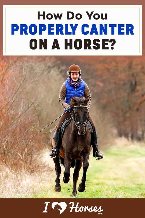 Equestrian Tips, Carson James, Equestrian Memes, Horse English, Horseback Riding Tips, Horsey Life, Small Barns, Riding Tips, Horse Exercises