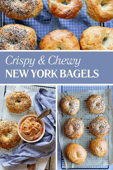 Once you try this simple New York Bagel recipe, you’ll never want to settle for grocery store bagels again! With just 6 ingredients, you can create bagels that rival those from the best local delis. New Yorkers swear by the traditional method of boiling bagels to achieve that perfect combination of a chewy interior and a slightly crispy crust. If you’ve ever dreamed of making these iconic bagels at home, you’re in for a treat. Bagels Recipe Homemade No Yeast, Ny Bagel Recipe, Easy Bagel Recipe No Yogurt, Home Made Bagels Easy, Boiled Bagel Recipe, Homemade Bagels Easy No Yeast, Boiling Bagels, Diy Bagels, Ny Style Bagels Recipe