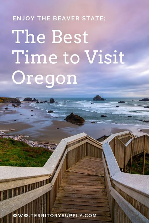 Must See Places In Oregon, Oregon Coast Itinerary, Best Places To Live In Oregon, Oregon Coast Roadtrip 2 Days, Oregon Coast Must See Bucket Lists, Oregon Fall, Oregon Adventures, Oregon Coast Vacation, Oregon Trip