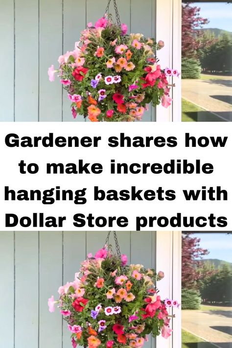 Gardener shares how to make incredible hanging baskets with Dollar Store products Make Hanging Baskets, Aerial Plants, Hanging Baskets Diy, Hanging Flower Arrangements, Dollar Tree Flowers, Artificial Hanging Baskets, Hanging Plants Outdoor, Fake Hanging Plants, Hanging Plants Diy