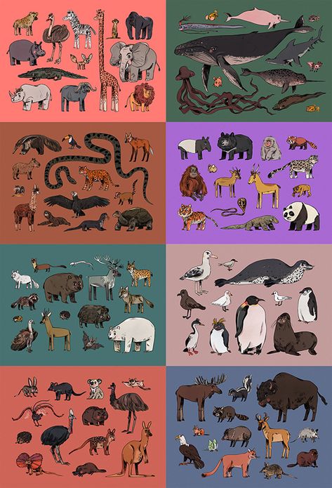 THE ANIMAL CONUNDRUM on Behance Animal Scientific Illustration, Animal Architecture, Dinosaur Drawings, History Illustration, Slow Loris, Raccoon Dog, Animal Study, Animal Science, Types Of Animals