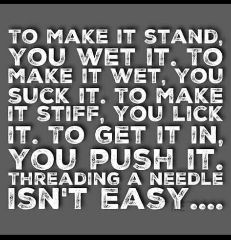 Threading A Needle, Inappropriate Quote, Twisted Quotes, Funny Flirty Quotes, Lion Heart, Adulting Quotes, Inappropriate Thoughts, Funny Quotes Sarcasm, Simple Love Quotes