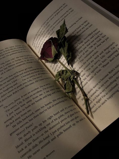 Book Flowers, Book Wallpaper, Nothing But Flowers, Red Aesthetic, Book Aesthetic, My Vibe, Dark Aesthetic, Pretty Wallpapers, Dark Academia