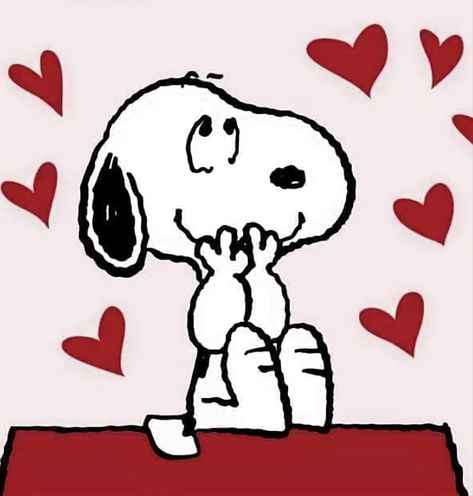 Snoopy Valentine, Snoopy Dog, Happy February, Snoopy Images, Snoopy Wallpaper, Snoopy Pictures, Snoop Dog, Snoopy Love, Charlie Brown And Snoopy