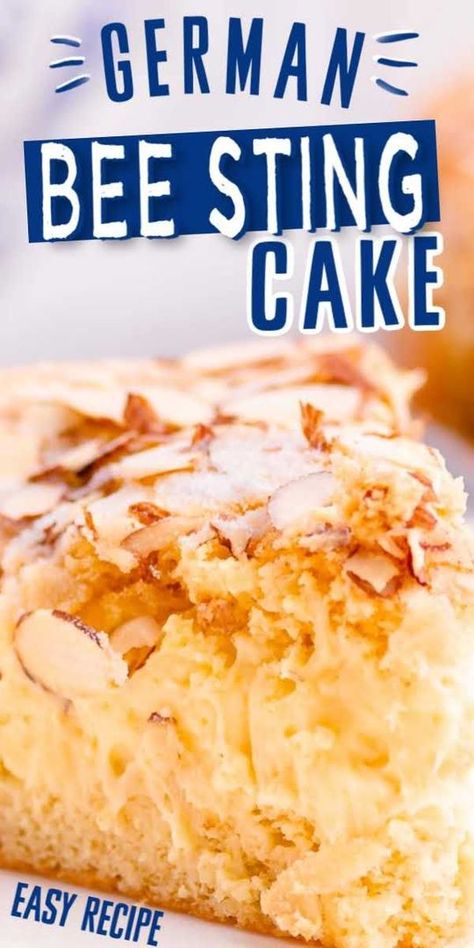 German Yeast Cake, German Desserts Traditional, German Deserts Easy, Prize Winning Desserts, German Recipes In English, German Cakes Traditional, German Treats, German Bee Sting Cake, German Cakes Recipes