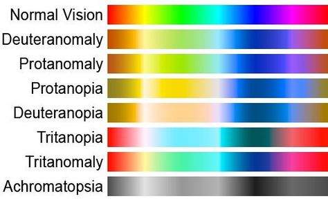 Red Blinds, Planet Project, Blind Art, Different Types Of Colours, Data Visualisation, Genetic Disorders, Color Blind, Eye Painting, Knowledge Quotes