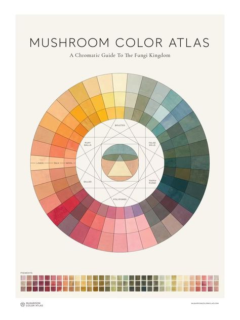 Mushroom Color Palette, Fungi Kingdom, Fungi Illustration, Mushroom Color, Color Theory Art, Types Of Fungi, Mushroom Paint, Art Beat, House Color Palettes