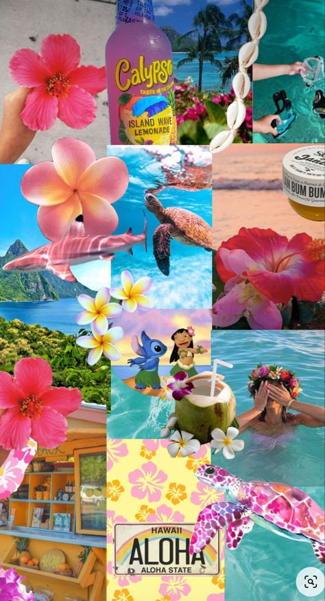 Connect With People, Your Aesthetic, Creative Energy, Hawaii, Energy, Collage, Water, Flowers