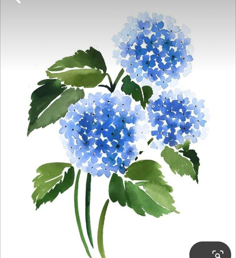 Watercolor Flowers Hydrangea, Hydrangea Watercolour Painting, Hydrangea Bouquet Painting, Easy Hydrangea Painting, How To Paint Hydrangeas, Watercolor Hydrangea Step By Step, Hydrangeas Drawing, Hydrangea Flower Drawing, Hydrangea Painting Easy