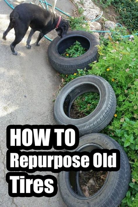 Recycled Tyres Garden, Repurpose Old Tires, Repurposed Tire, Garden Ideas Diy, Tire Chairs, Reuse Old Tires, Tire Craft, Old Car Parts, Tire Garden