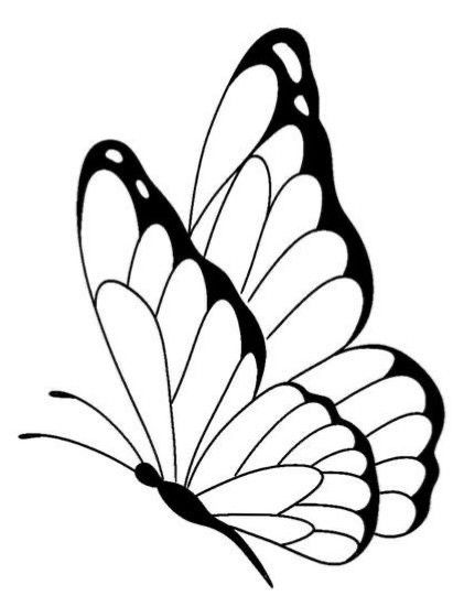 Butterfly Drawing Outline, Easy Butterfly Drawing, Photo Papillon, Abstract Tattoo Ideas, Wrist Tattoo Designs, Butterfly Art Drawing, Traditional Tattoo Designs, Butterfly Outline, Butterfly Stencil