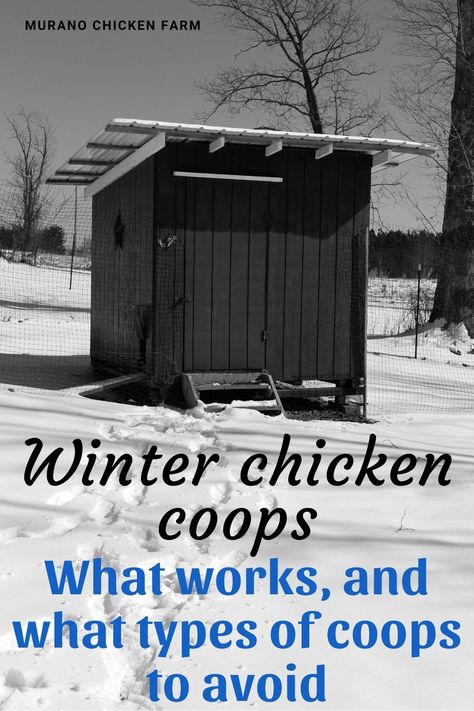 Diy Chicken Coop Cold Weather, Chicken Coops Off The Ground, Chicken Coop For Winter Cold Weather, Alaska Chicken Coop, Chicken Coop Winter Cold Weather, Midwest Chicken Coop, Cold Climate Chicken Coop Designs, Wisconsin Chicken Coop, Chicken Coop Cold Climate