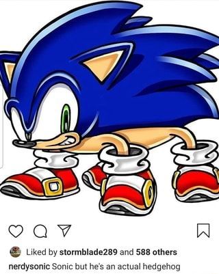 Pin on sonic Sonic Funny, Blue Hedgehog, Sonic Franchise, Sonic And Shadow, Sonic Boom, Sonic Fan Art, Sonic Art, Shadow The Hedgehog, The Hedgehog