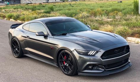 2016 Mustang Gt, 2016 Mustang, 2016 Ford Mustang, Ford Mustang 2016, Ford Mustang Gt 2015, Honda Civic 2014, Mustang 2015, 2014 Mustang Gt 5.0, Ford Roadster