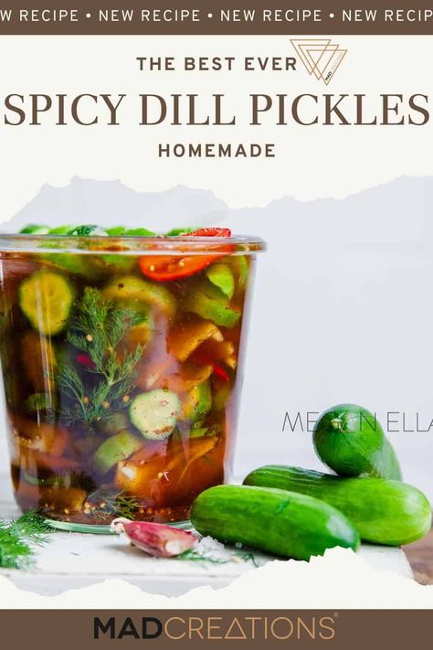 Kick up your snack game with our Spicy Dill Pickles recipe! Tangy, crunchy, and packed with flavor, these pickles are a zesty twist on a classic favorite. 🌶️🥒 #SpicyPickles #DillPickles #HomemadePickles Spicy Refrigerator Dill Pickles, Pickling Cucumbers Spicy, Pickle Flavored Recipes, Spicy Dill Pickle Recipe, Unique Pickles, Spicy Pickles Recipe, Dill Pickle Sauce, Spicy Dill Pickles, Spicy Pickle Recipes