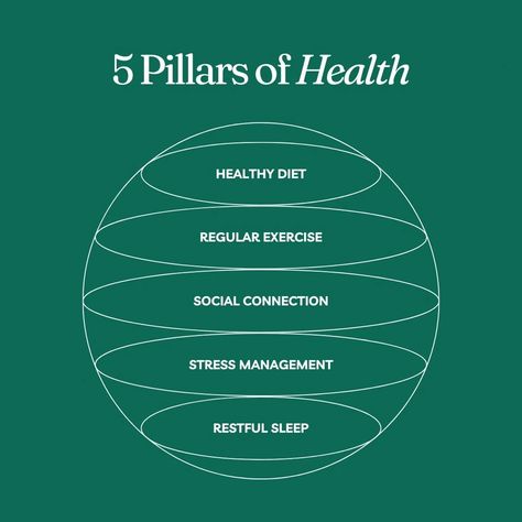 Building a Strong Foundation: The 5 Pillars of Health 🏋️♀️🌟 ⠀ ⠀ 🥦 Healthy Diet: Nourish your body with wholesome foods that fuel your vitality. 🏃♀️ Regular Exercise: Keep your body moving to energize both body and mind. 🤝 Social Connection: Cultivate meaningful relationships for heartwarming support. 😌 Stress Management: Embrace techniques to discover calm within life's turbulence. 🛌 Restful Sleep: Let your body recharge, embracing the power of... Pillars Of Wellbeing, Hormone Cycling, Pillars Of Wellness, Booklet Ideas, Pillars Of Health, Social Connection, 5 Pillars, Balanced Living, Parts Of The Body