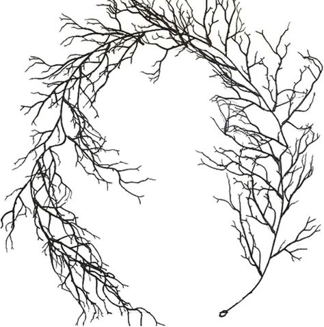 Amazon.com: 5.7 FT Halloween Willow Vine Twig Decor Garland, Black Branches Garland for Wall Bedroom Home Fireplace Mantle Decoration (Black) : Home & Kitchen Thankgiving Party, Twig Decor, Twig Garland, Twigs Decor, Vine Garland, Artificial Branches, Halloween Mantle, Fireplace Mantle Decor, Twig Tree