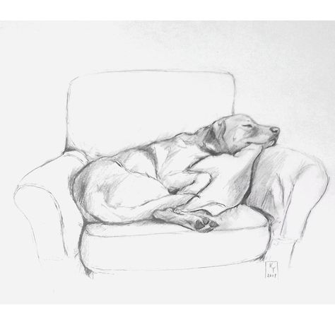 Sketches Dog, Lab Sketch, Drawing Labrador, Lab Dog Drawing, Puppy Drawings, Drawing Ideas Dog, Sketches Of Animals, Lab Drawing Easy, Pencil Sketching Ideas