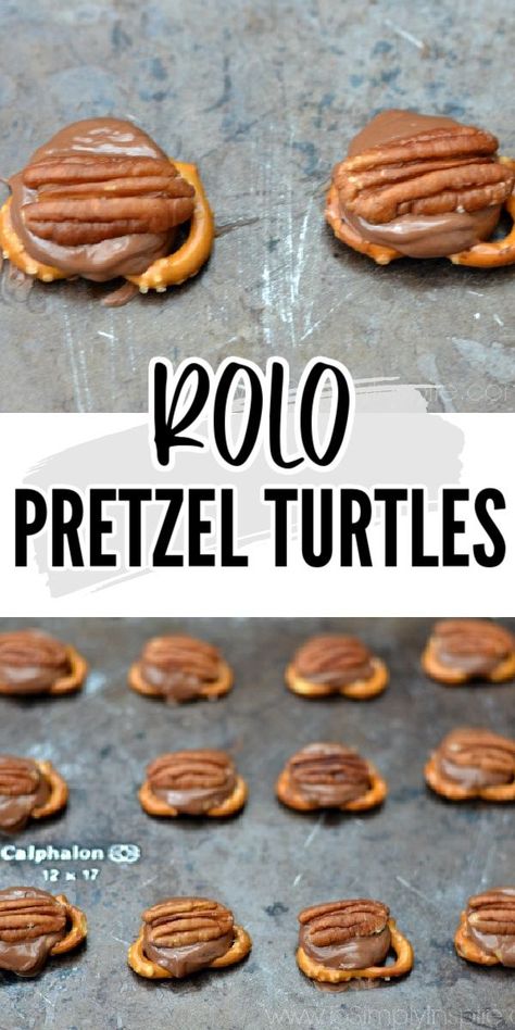 Rolo Dessert Recipes, Rolo Dessert, Turtle Bites, Rolo Pretzel Turtles, Turtle Pretzels, Turtles Recipe, Pretzel Turtles, Rolo Pretzel, Rolo Pretzels