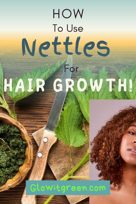 We now consider stinging nettles a weed, best avoided, but this plant has excellent botanical properties and is a vital source of health and healing, used throughout the centuries. One of the uses of nettles has always been to promote hair growth, and Glowitgreen.com shares the best ways to use it for your hair journey! Nettle For Hair Growth, Tea For Hair Growth, Nettle For Hair, Nettle Tea Benefits Hair, Nettle Leaf Tea Benefits, Horsetail For Hair Growth, Stinging Nettle Benefits, Nettle Leaf Benefits, Benefits Of Stinging Nettle